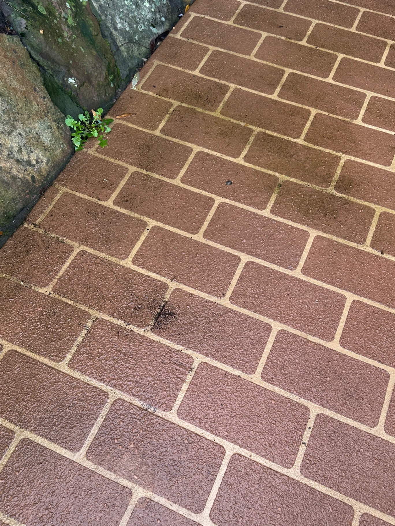 Brick paving close-up before and after pressure cleaning — before